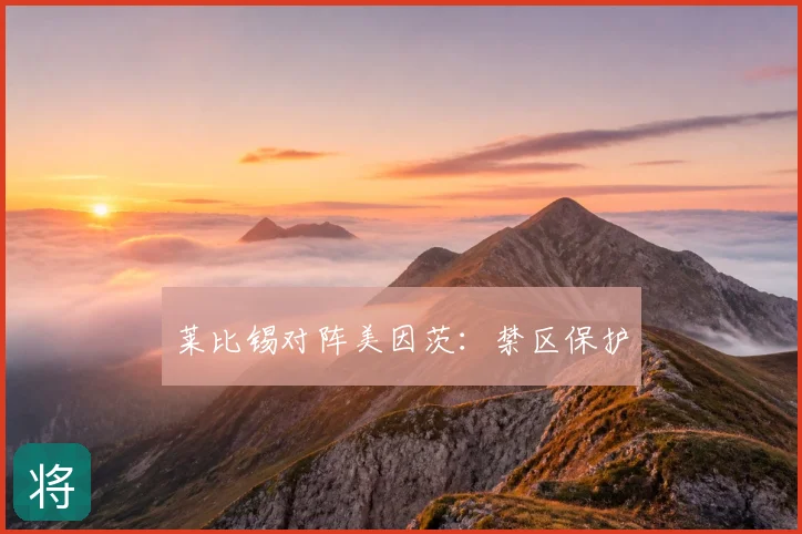 莱比锡对阵美因茨:禁区保护